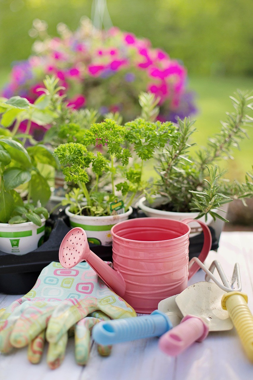 planting, spring, herbs, gardening, plants, tools, gardening tools, nature, seedlings