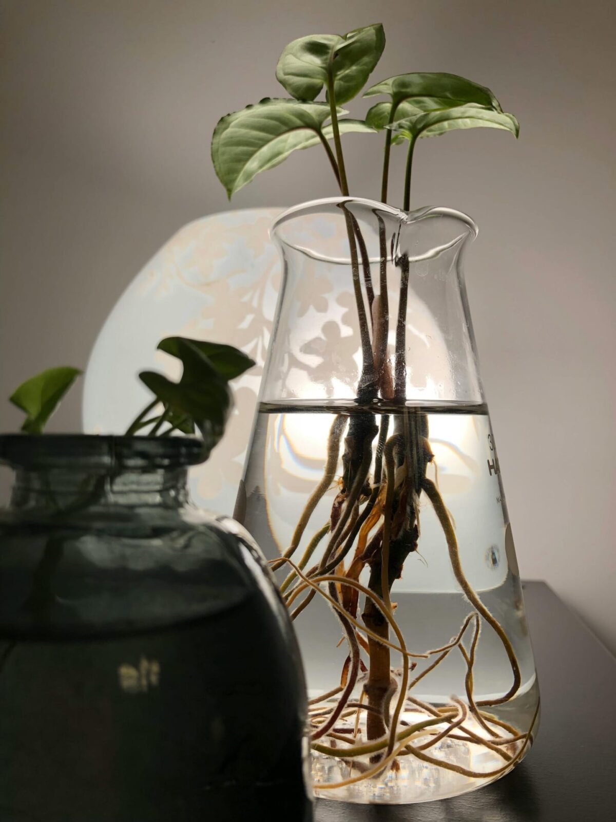 indoor hydroponics