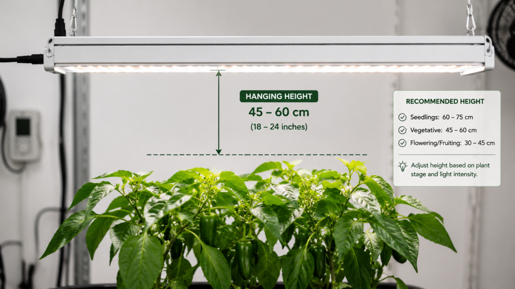 LED grow light mounting height adjustment above plant canopy for optimal PPFD delivery.