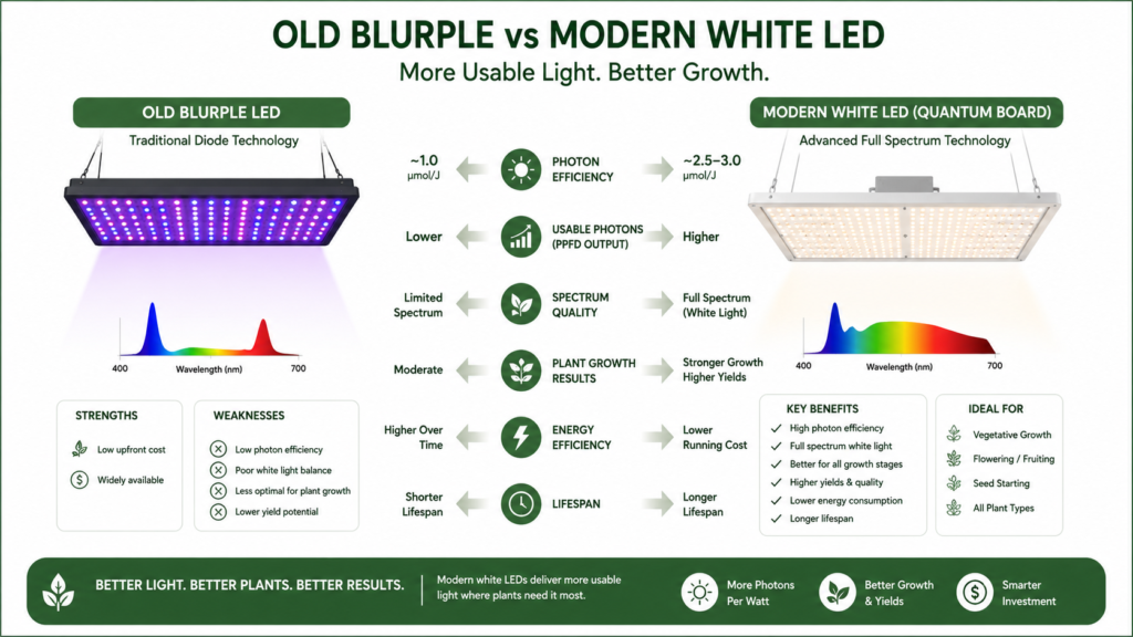 Comparison of PPE and PPFD between modern quantum board LED grow lights and outdated blurple fixtures
