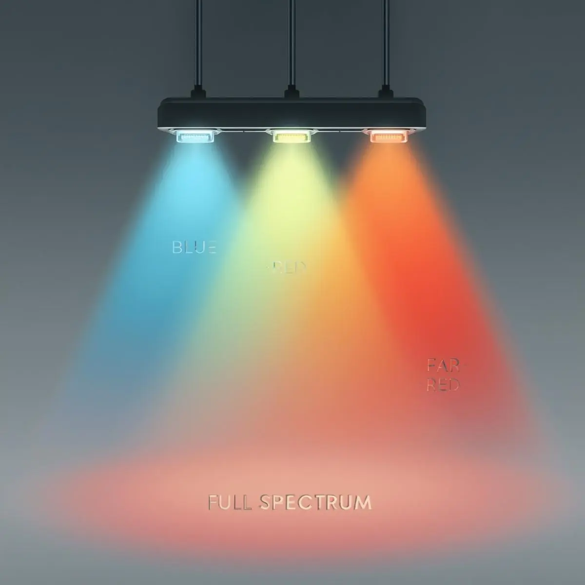 high-valued plant LED grow lights