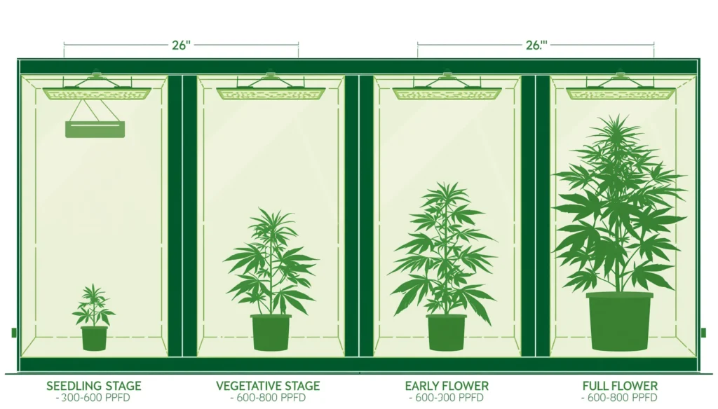 LED grow light hanging height guide by growth stage from seedling to flowering with PPFD targets