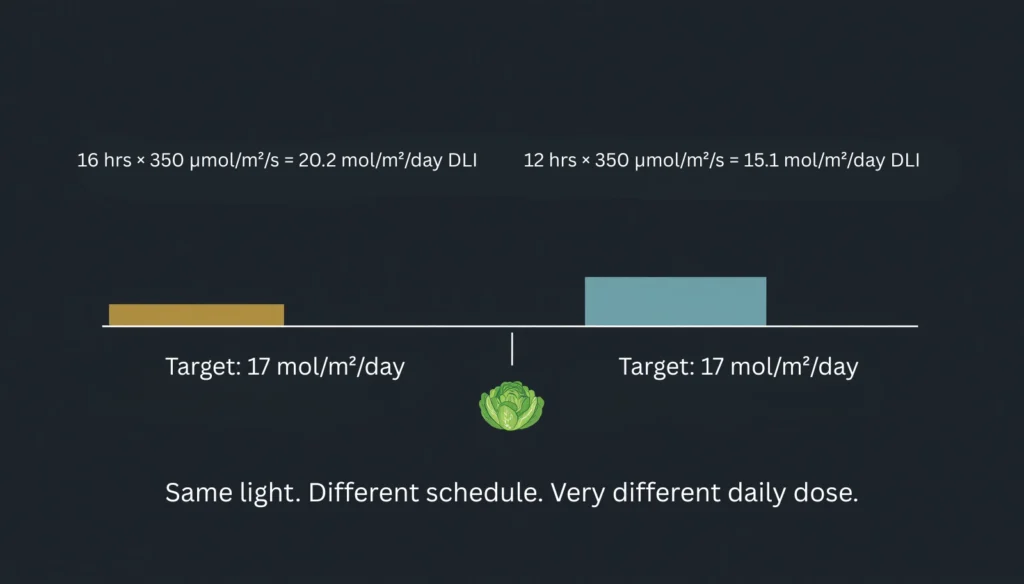DLI comparison showing how grow light schedule length affects daily light integral at the same PPFD in hydroponics