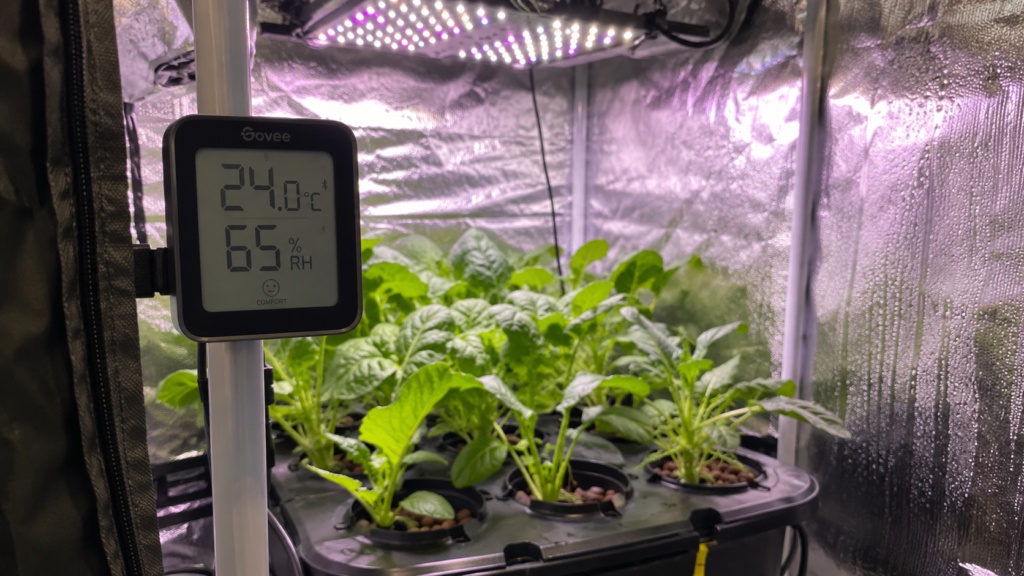 Hydroponics beginner advanced setup showing a digital temperature and humidity monitor with VPD reading inside a grow tent with green plants visible in the background