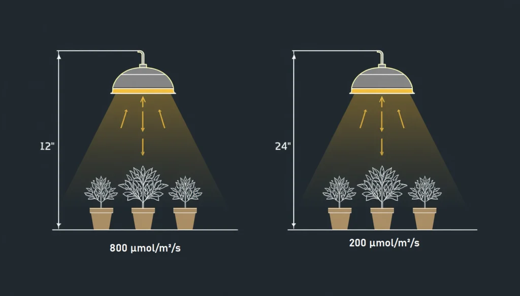 How PPFD decreases with light distance in a hydroponic grow tent — inverse square law diagram